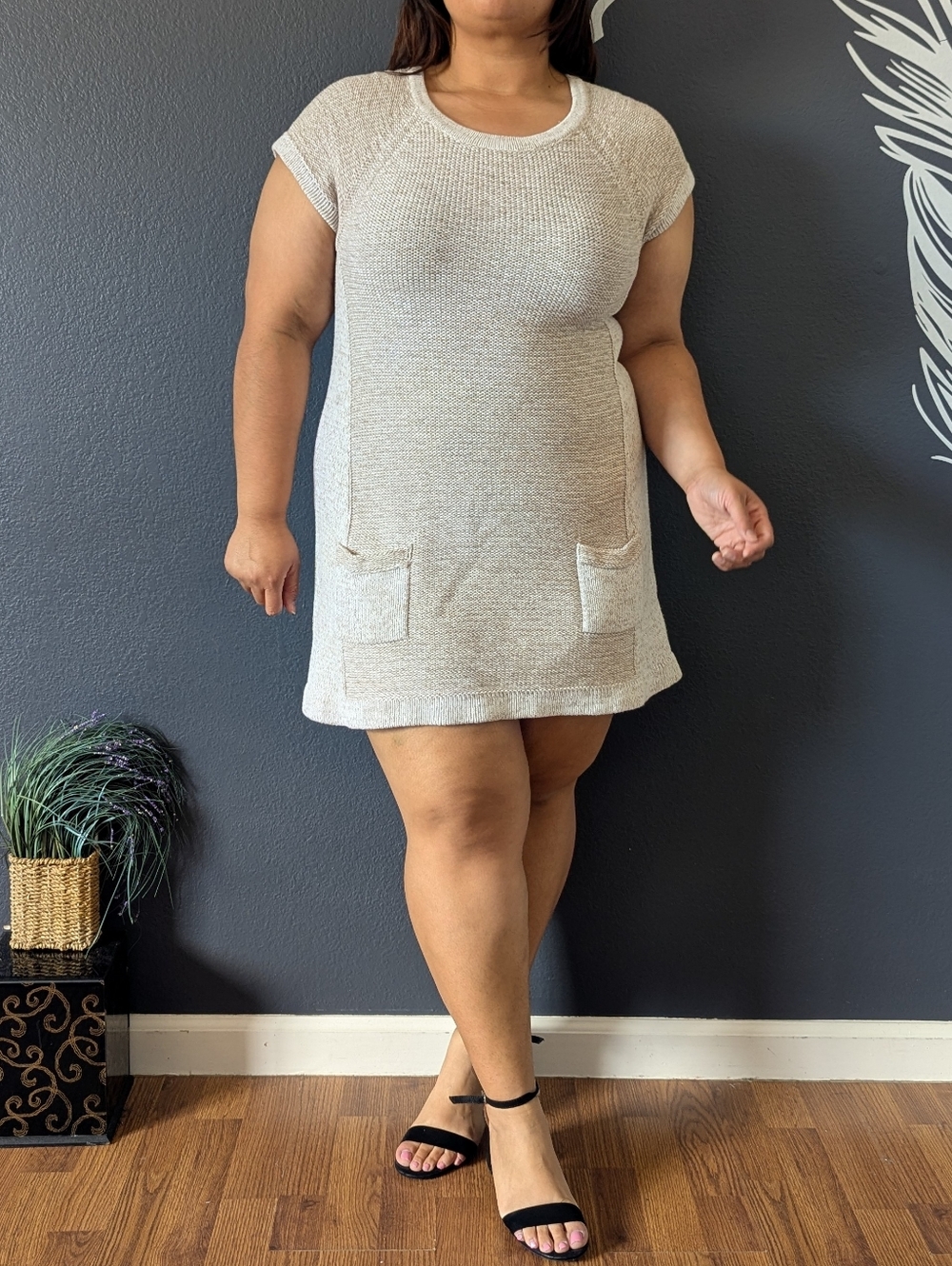 Cream Knit Style & Co Petite Dress